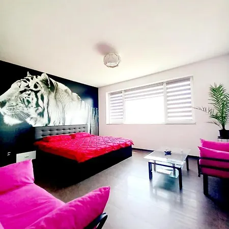 Zen View *
